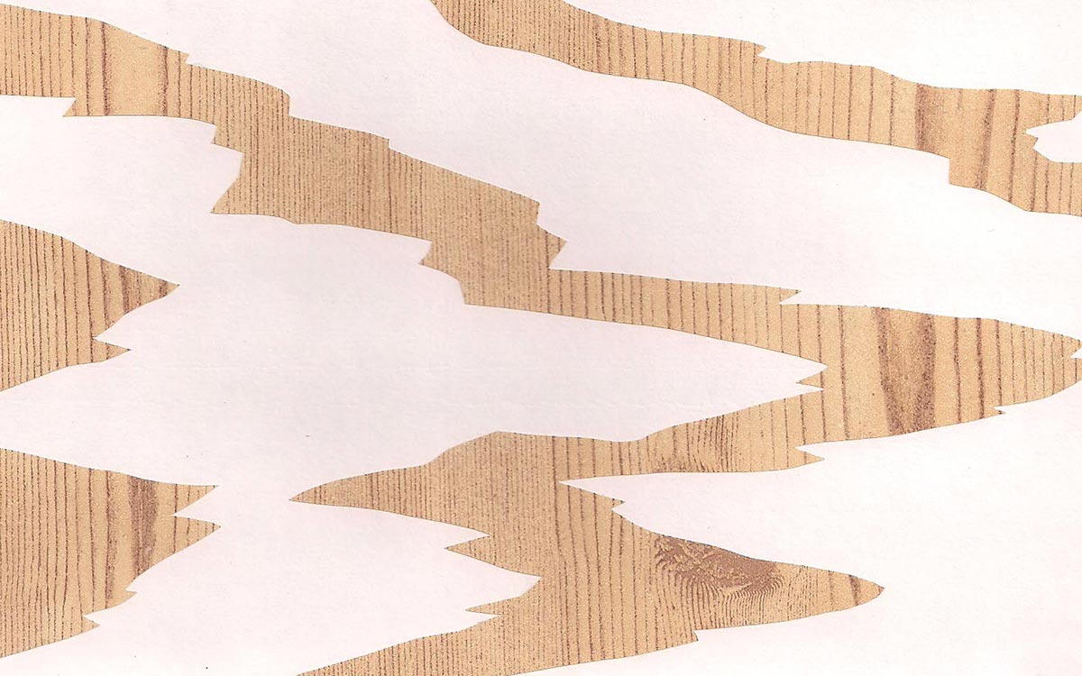 woodgrain practice