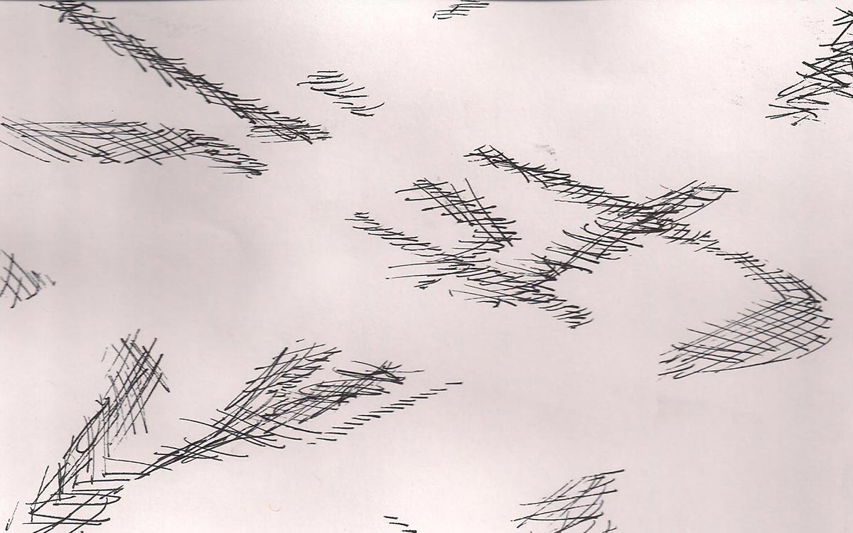 woodgrain practice