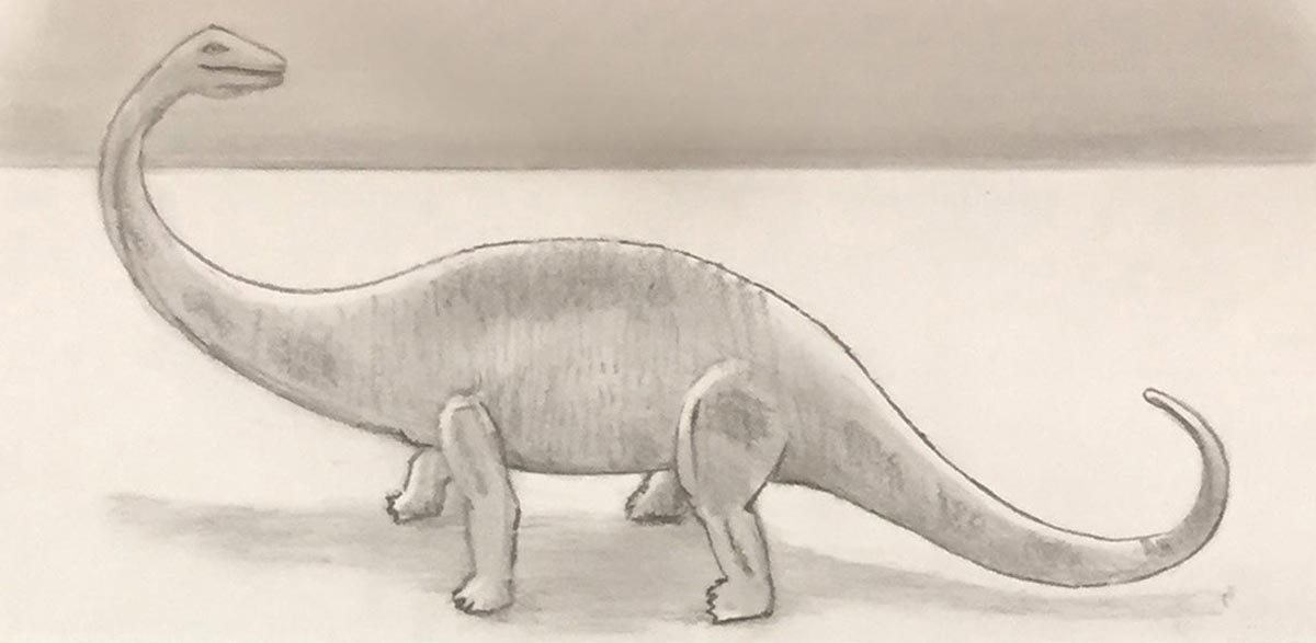 drawing