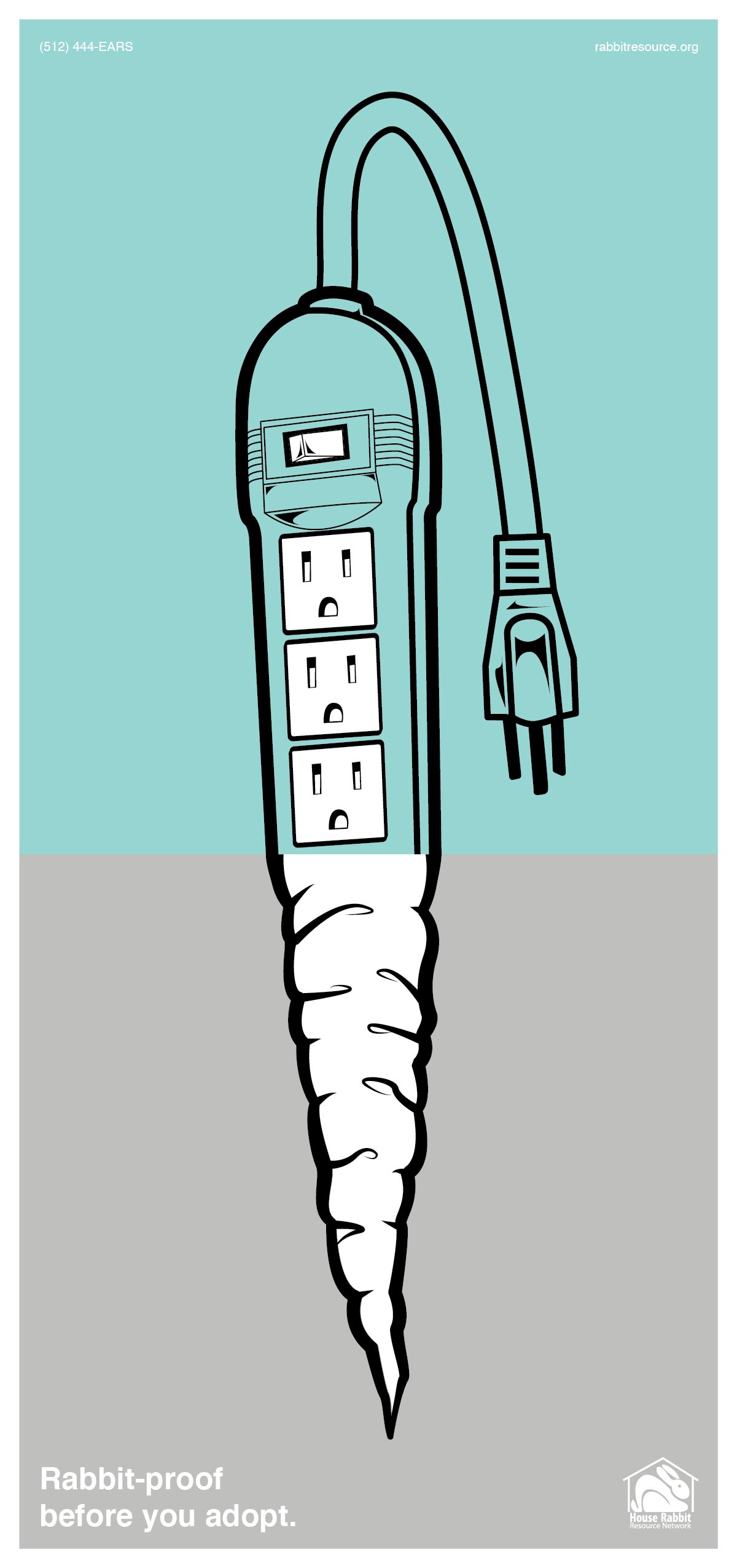 power cord and carrot