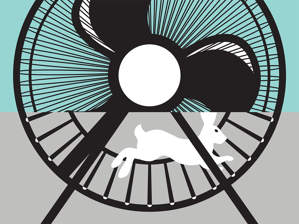 House Rabbit Resource Network