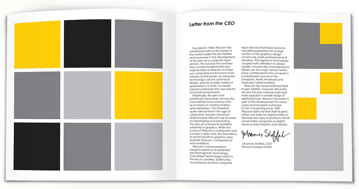 ceo letter