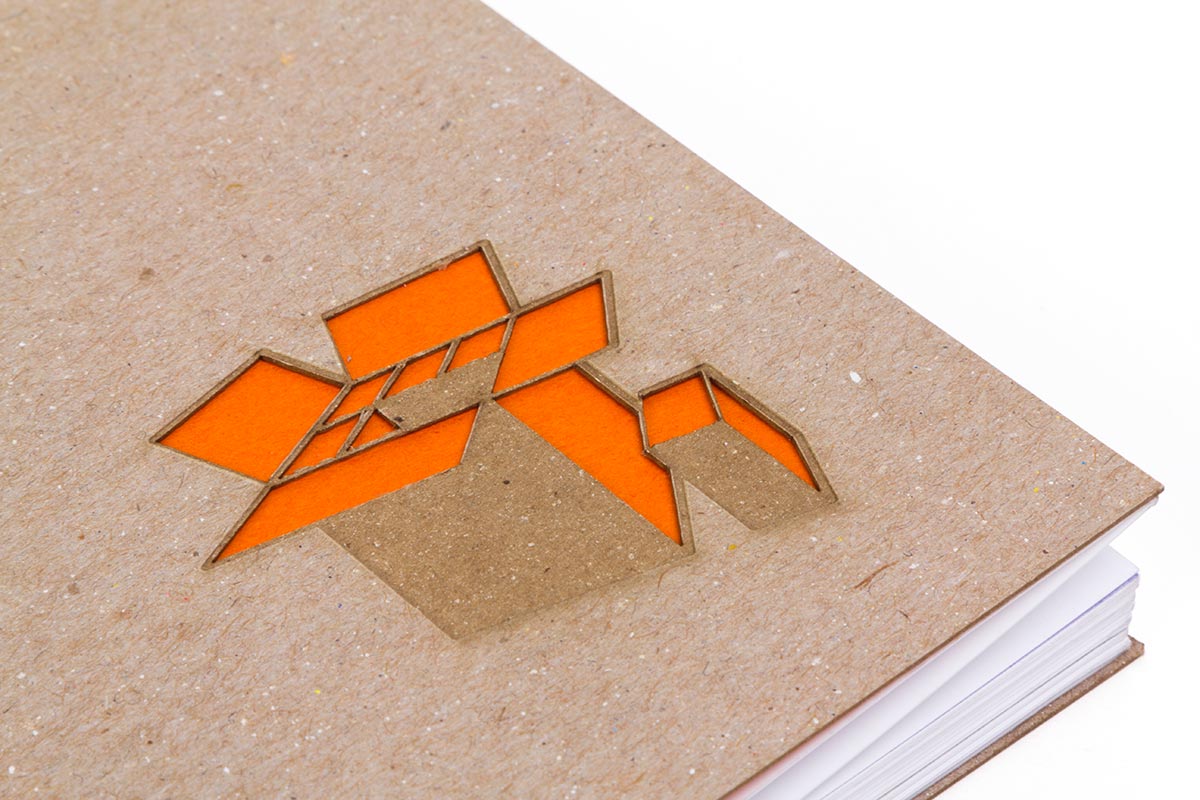 outer cover of the book