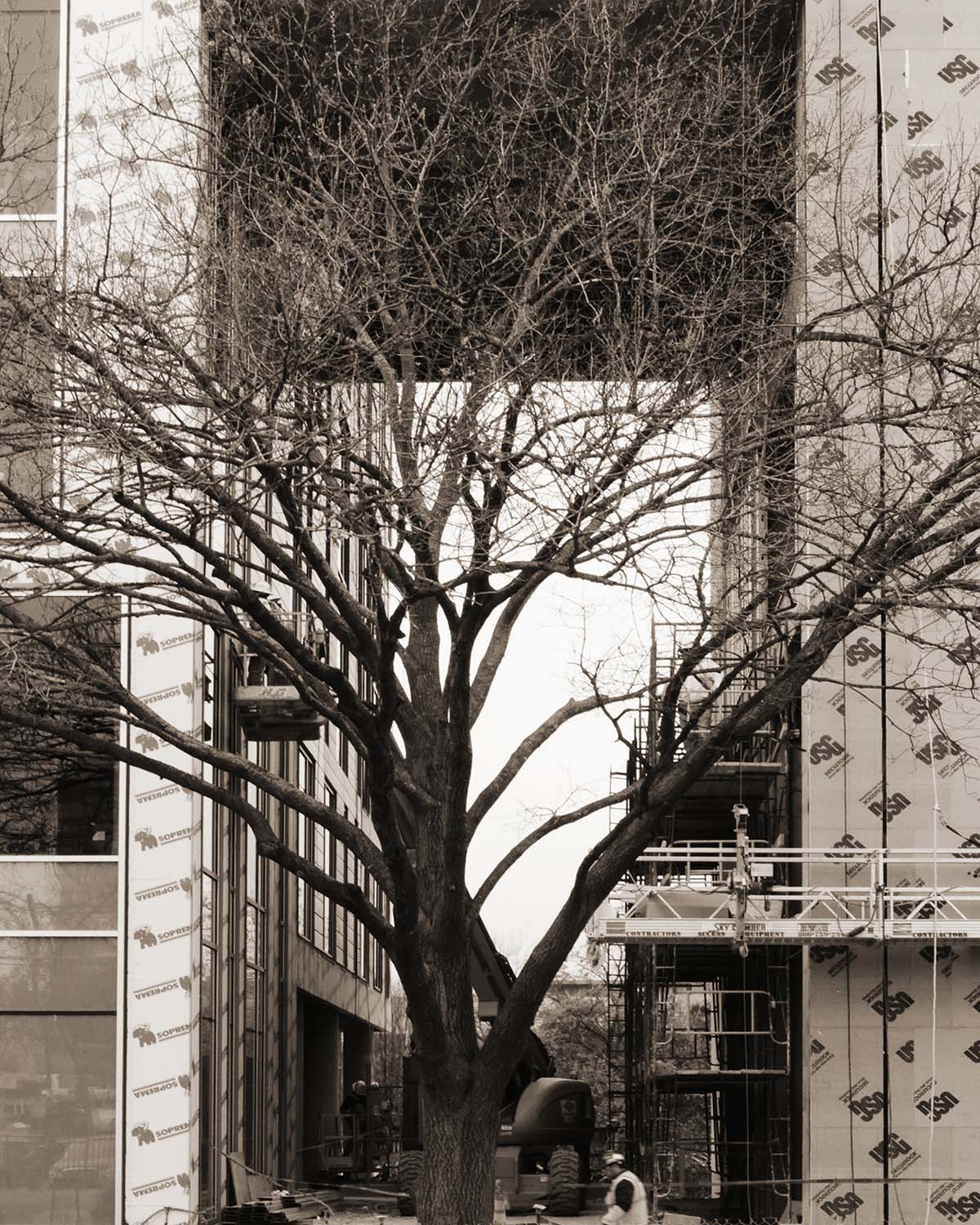 tree construction