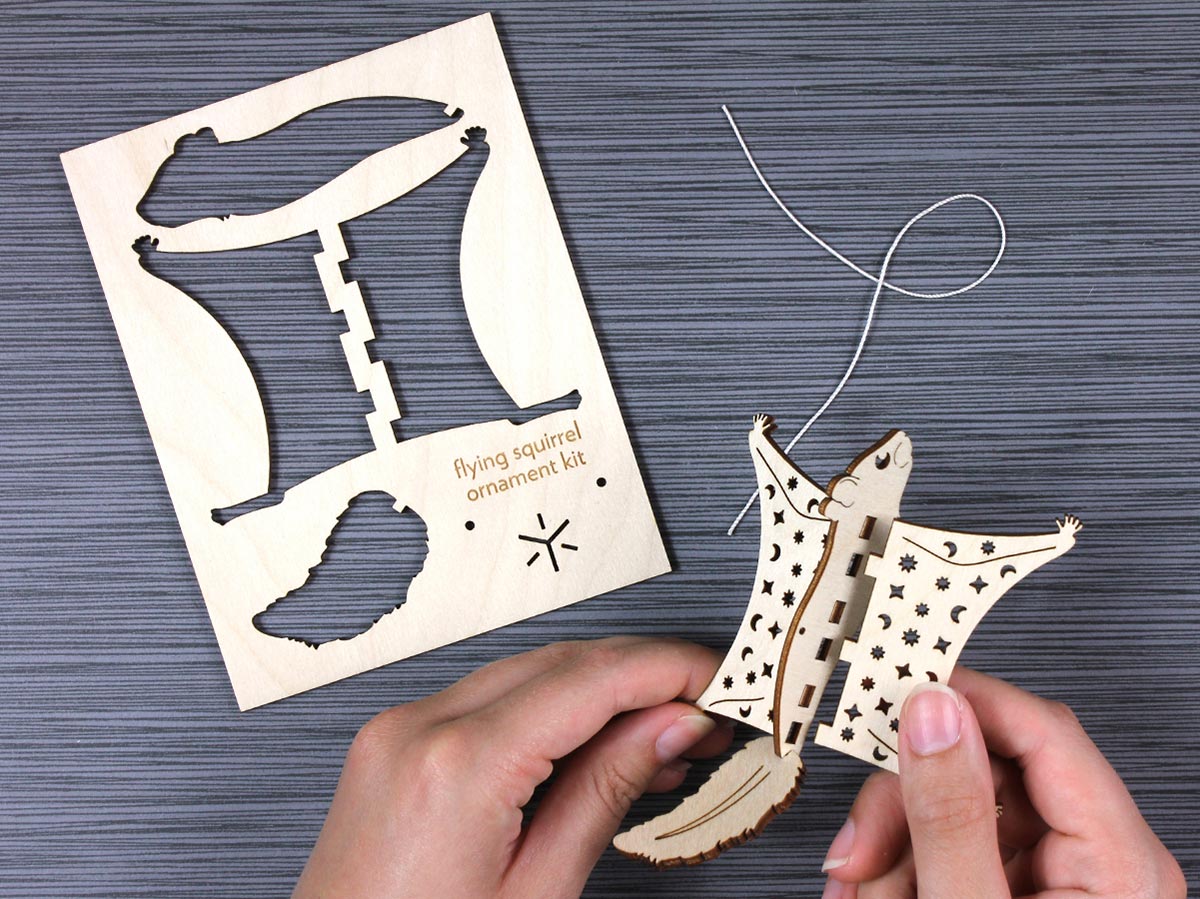 Animal Ornament Kits