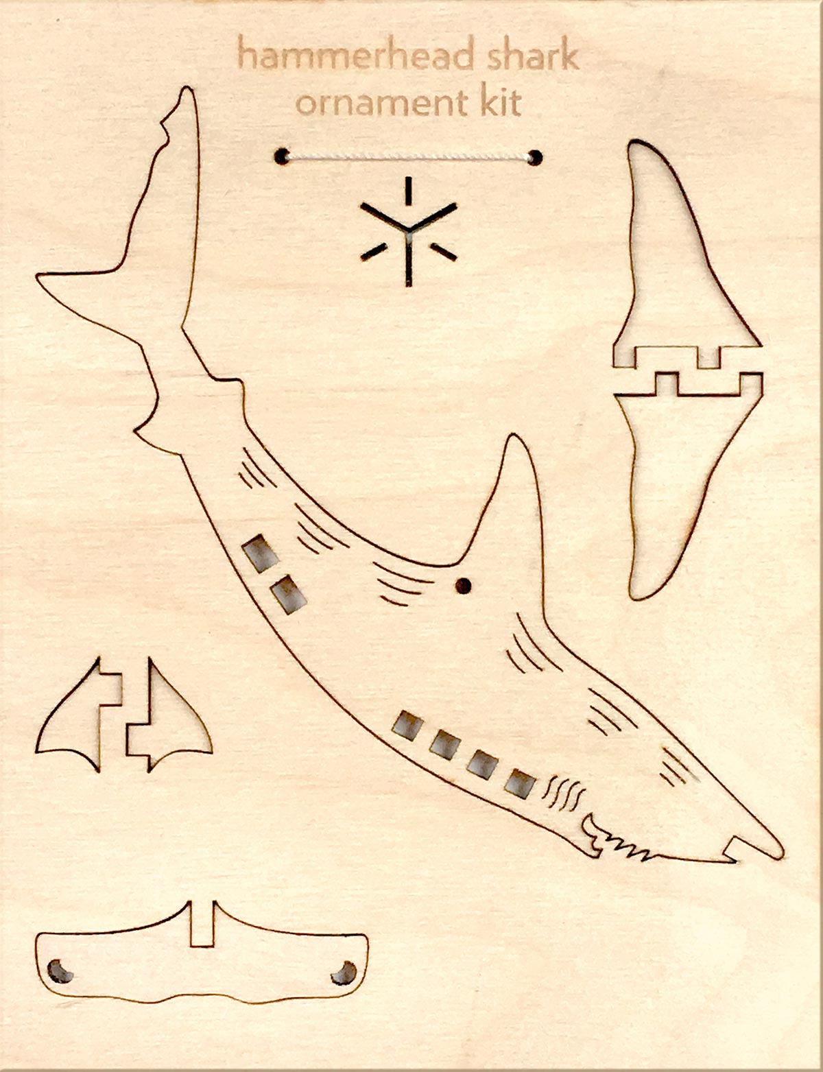 hammerhead shark