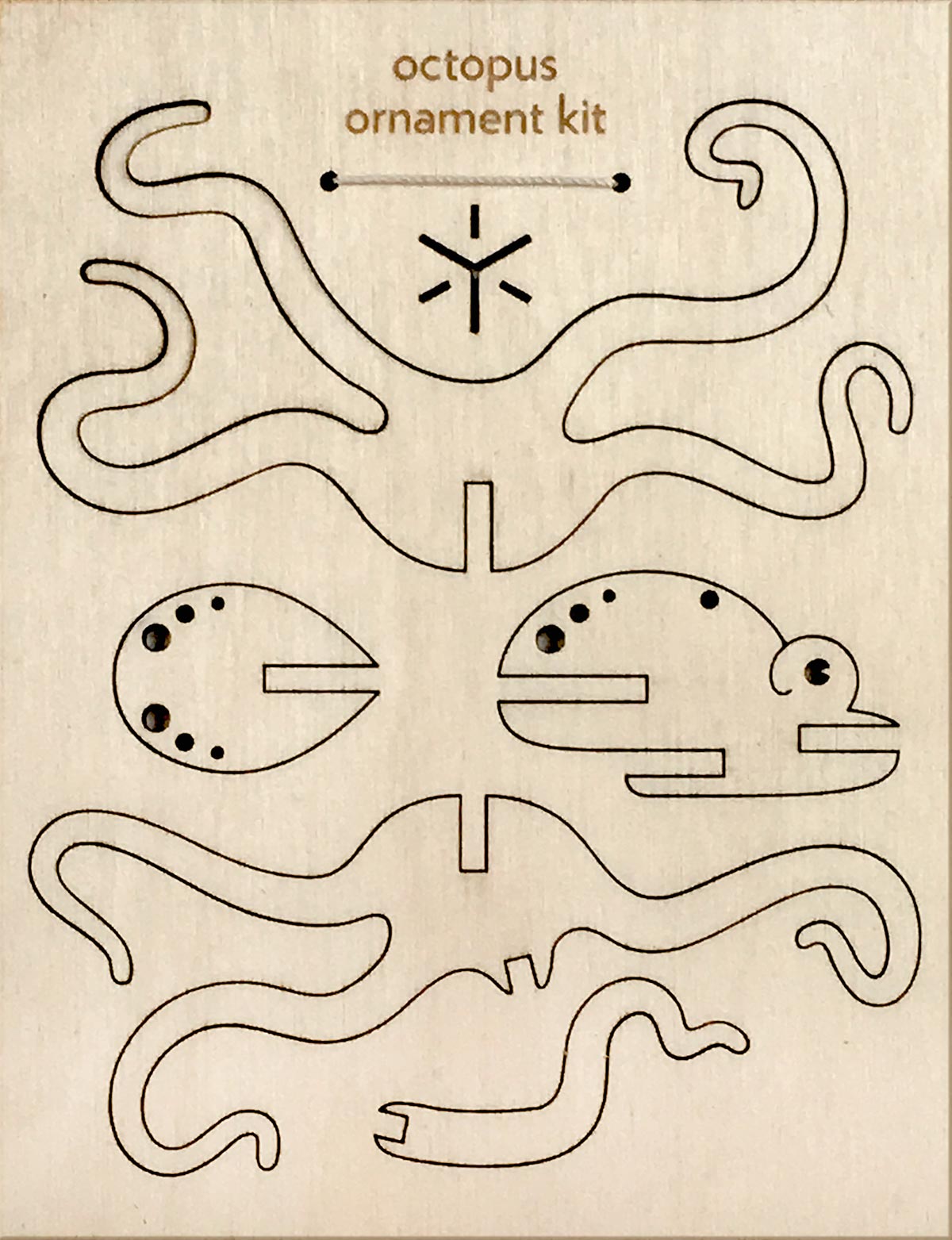 octopus