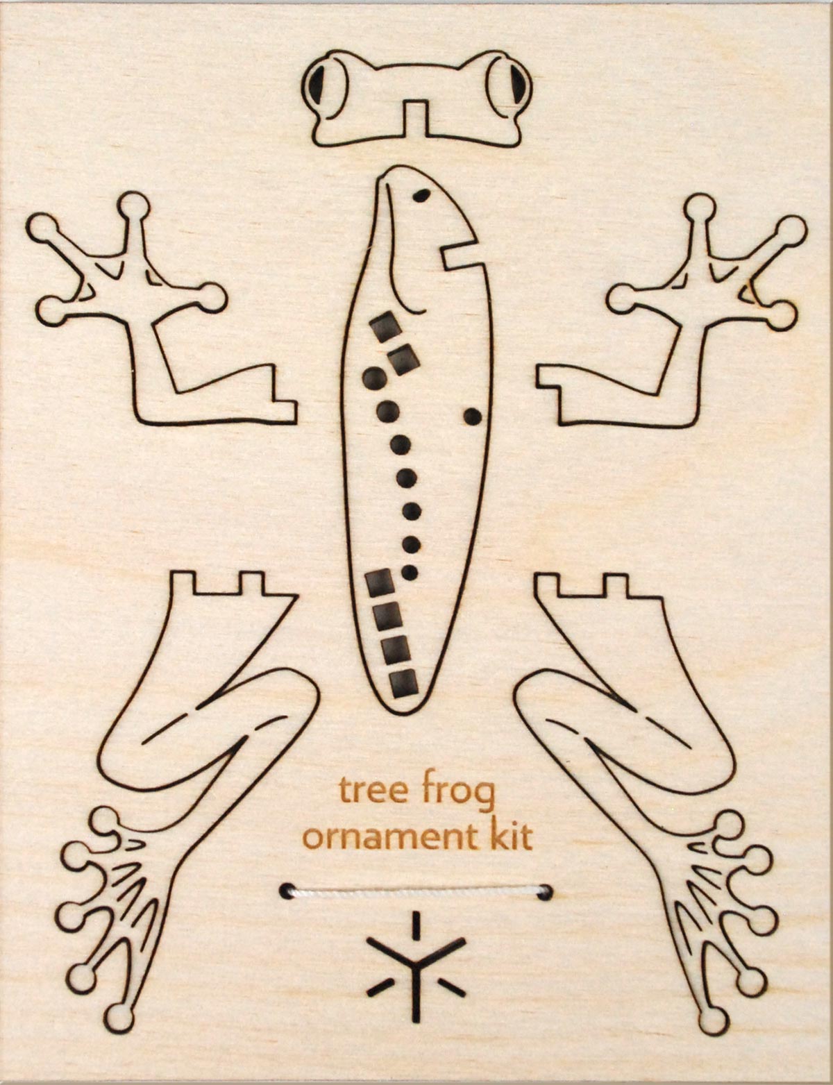 tree frog