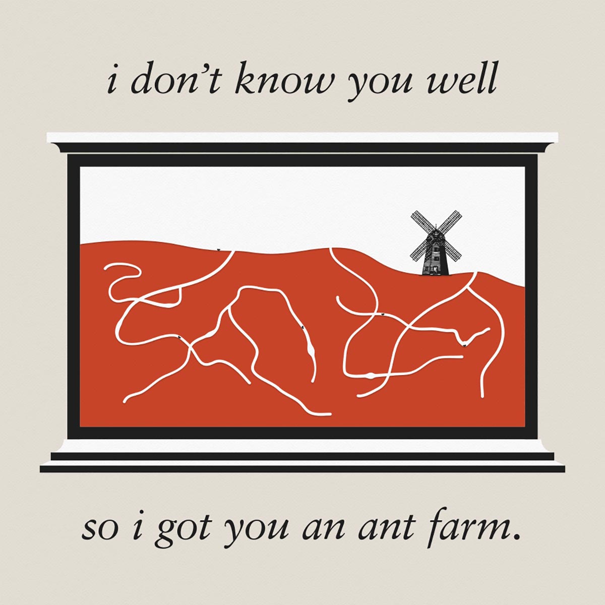 antfarm