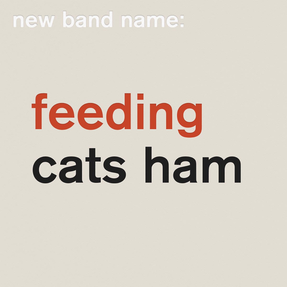 feedingcatsham