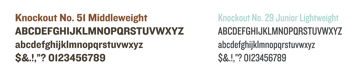 brand type choices