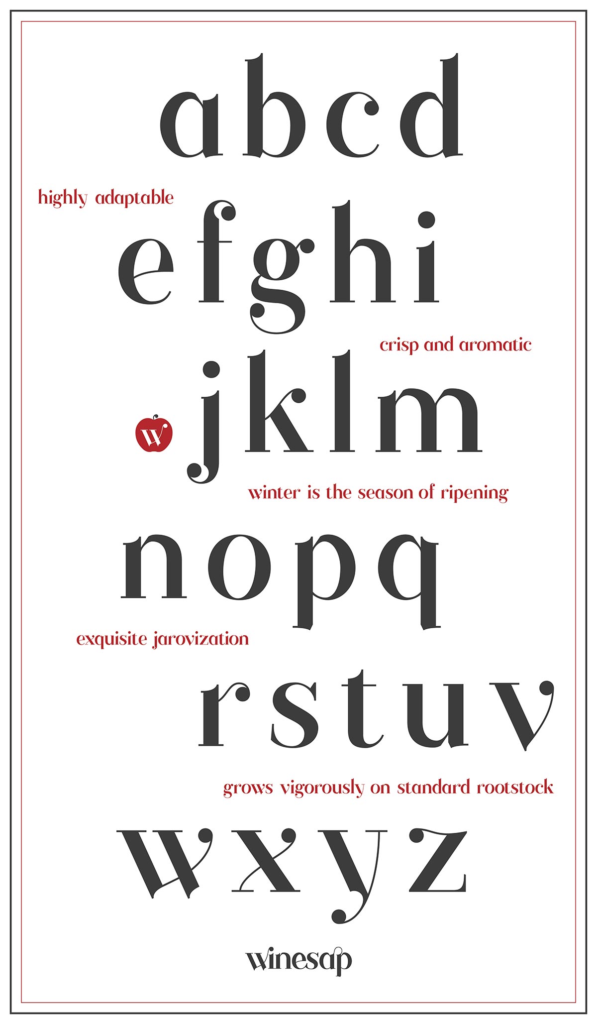 type specimen poster