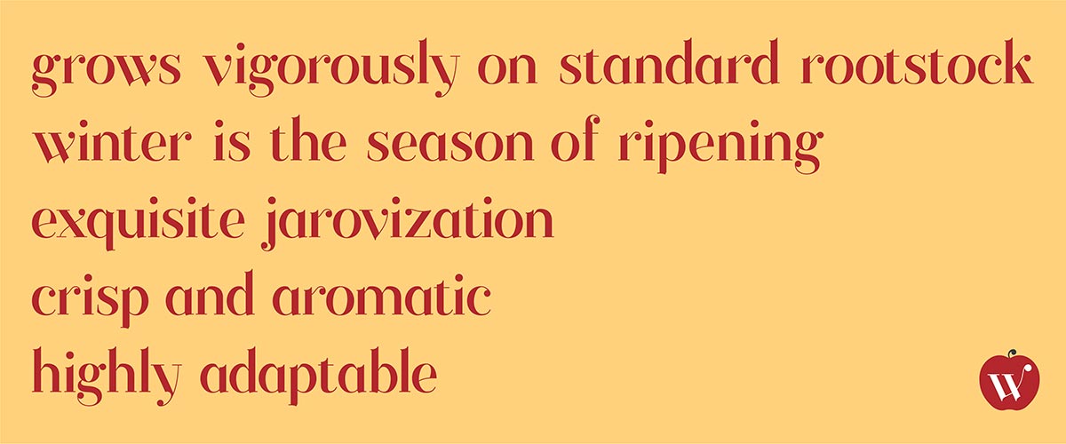 word examples