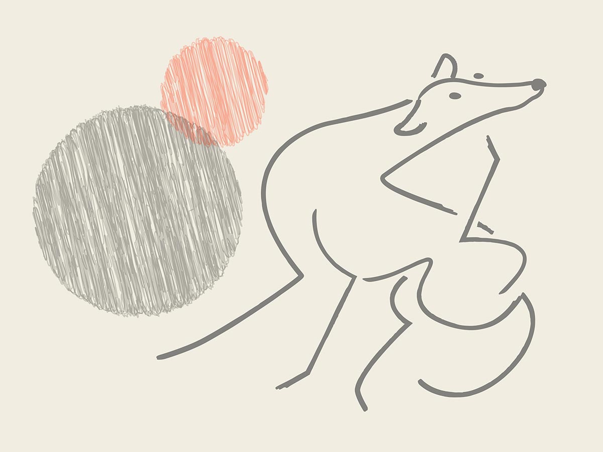 Greyhound Phases