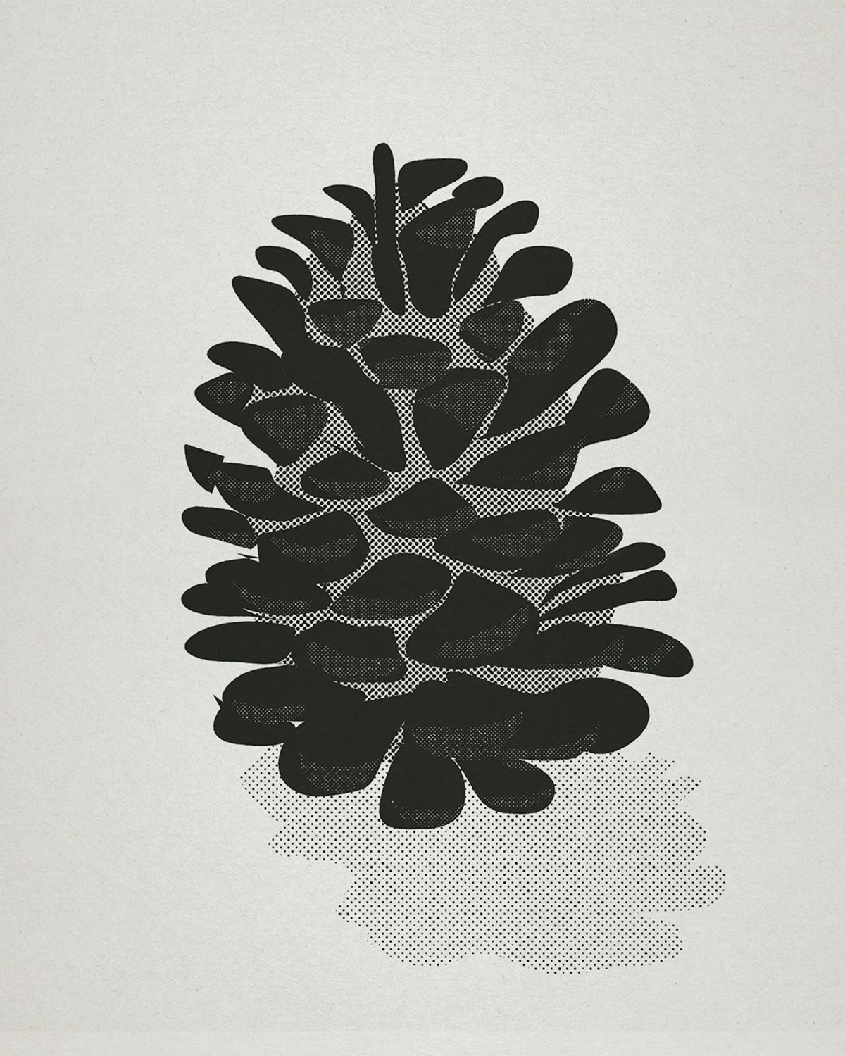 pinecone