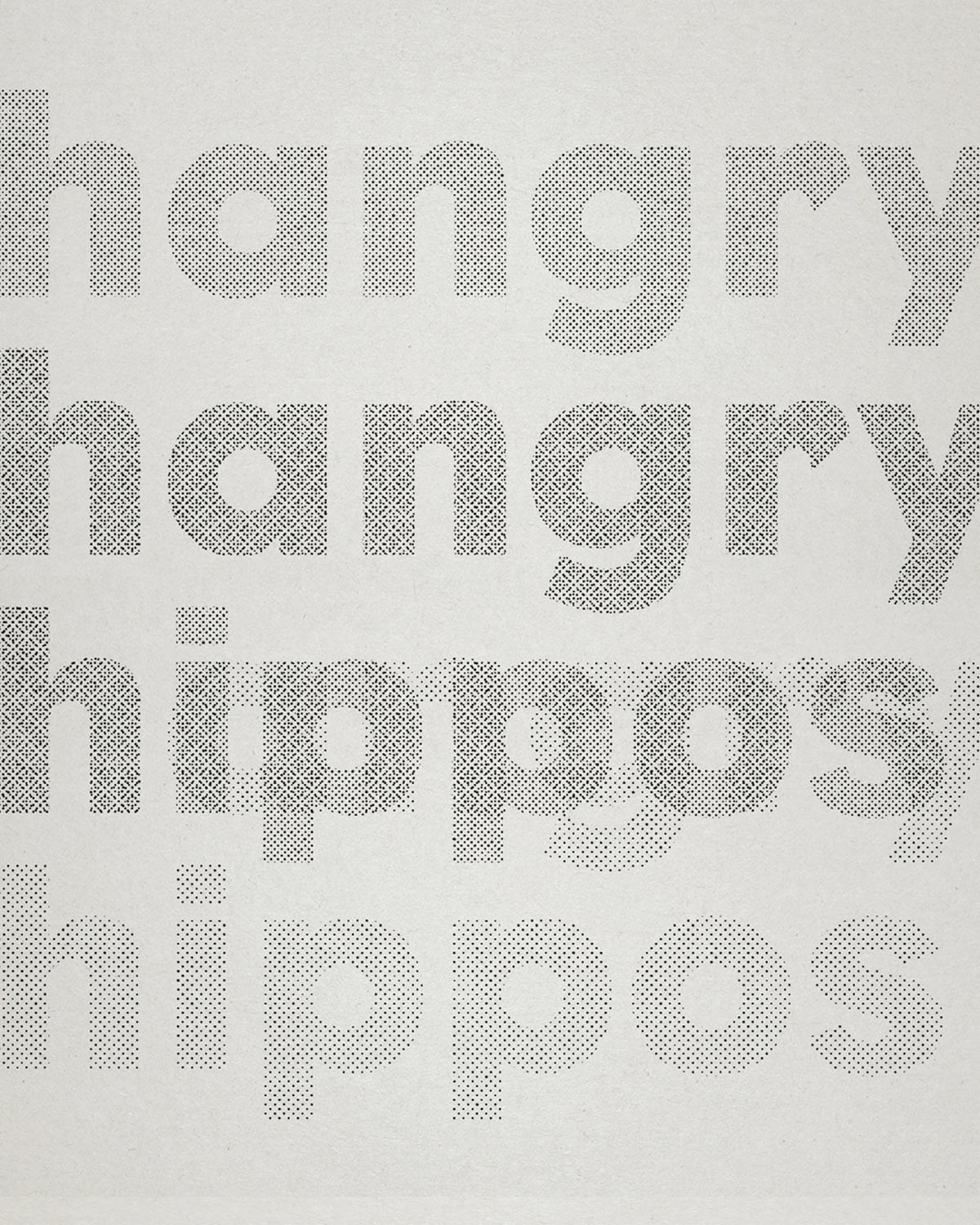 hippos